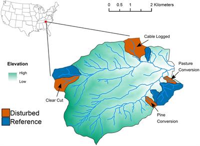 Soil Bacterial and Fungal Communities Exhibit Distinct Long-Term Responses to Disturbance in Temperate Forests